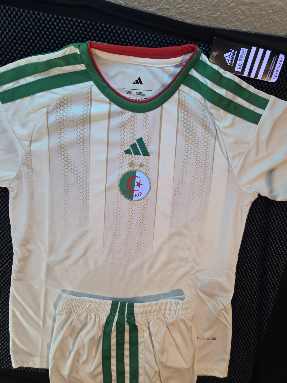 Kids' Algeria White & Green Soccer Jersey and Shorts Set